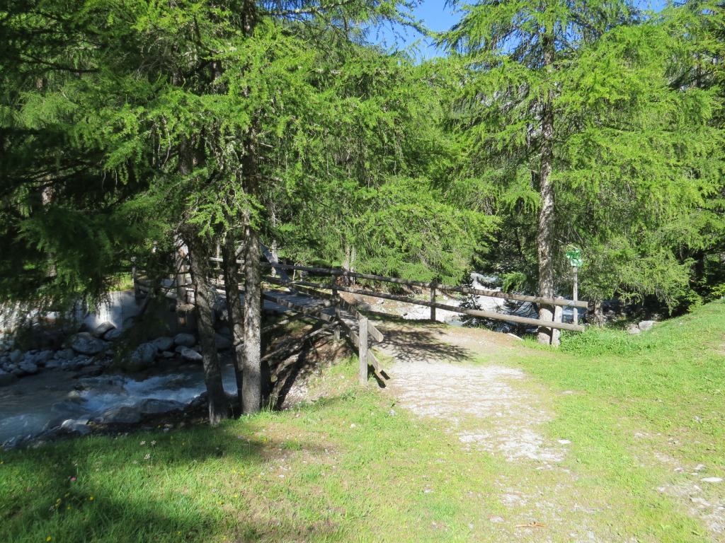 wir überqueren die Clemgia auf einer Holzbrücke, wandern ein kurzes Stück durch lichten Lärchenwald...