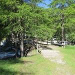 IMG_6939.JPG