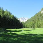 ...und steigen anschliessend über eine Wiese hinauf