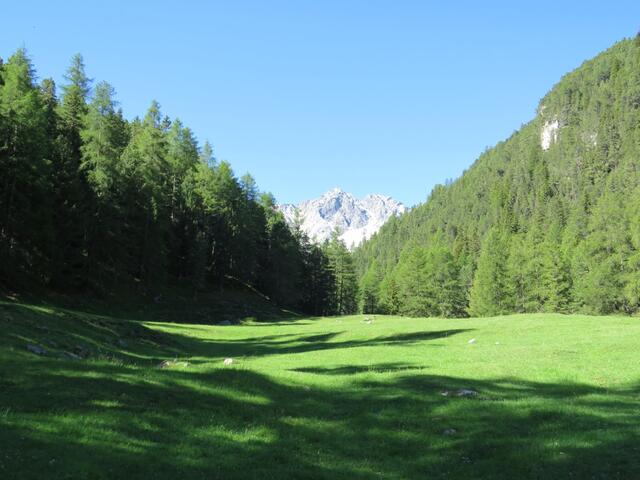 ...und steigen anschliessend über eine Wiese hinauf