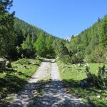 ...und stossen dort auf eine breite Alpstrasse, der wir nach links taleinwärts folgen