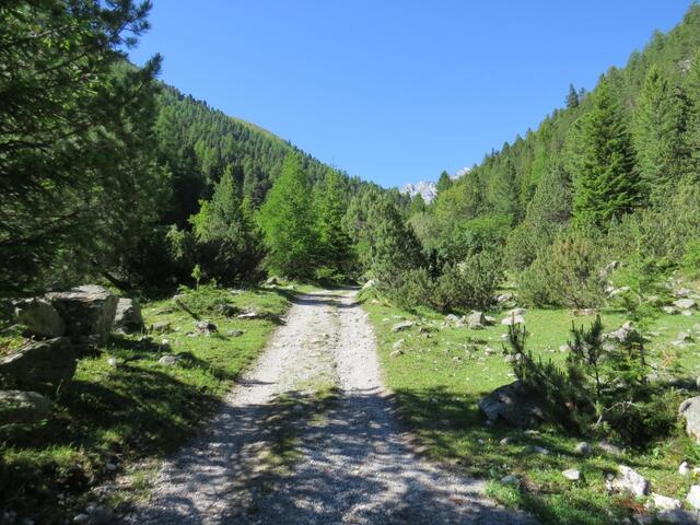 ...und stossen dort auf eine breite Alpstrasse, der wir nach links taleinwärts folgen