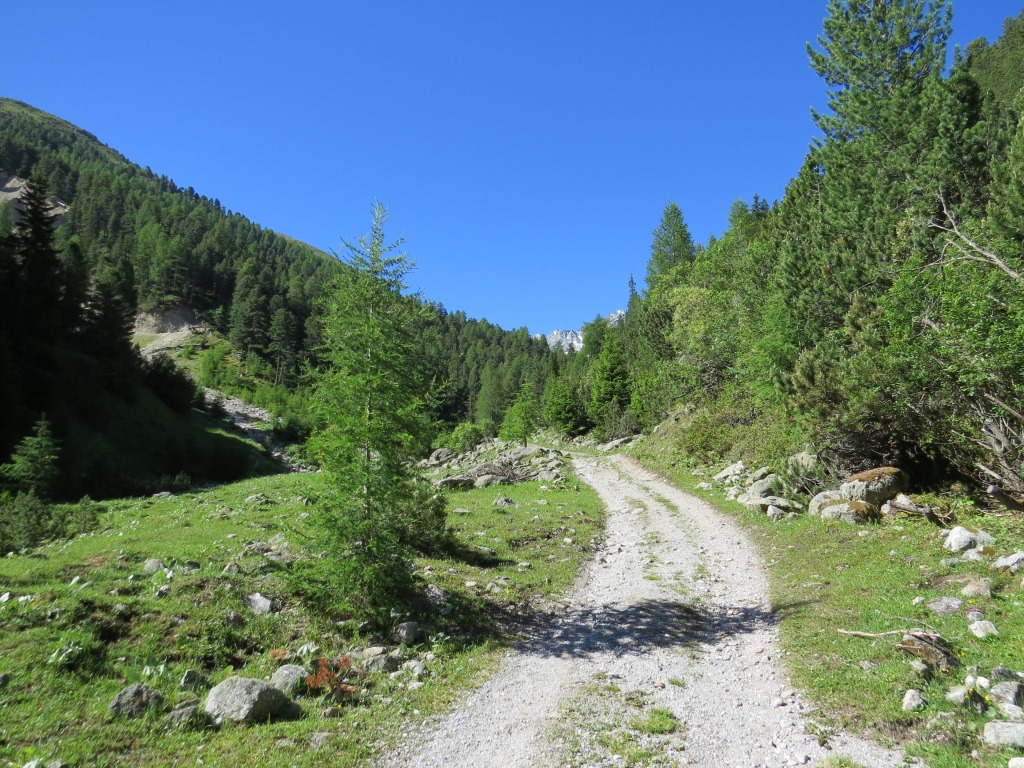 kurz darauf überquert die Kiesstrasse einen kleinen Bach und zieht danach dem rechten Ufer folgend weiter bergauf
