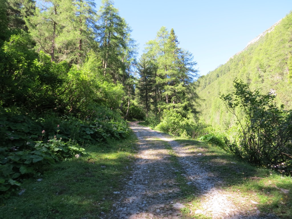bei Punkt 1848 m.ü. M. überquert der Weg erneut den Bach und zieht sich dann, leicht ansteigend,...