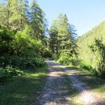 bei Punkt 1848 m.ü. M. überquert der Weg erneut den Bach und zieht sich dann, leicht ansteigend,...