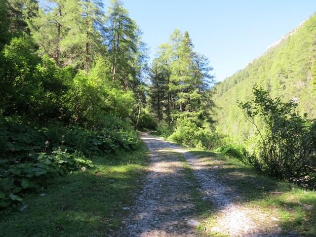 bei Punkt 1848 m.ü. M. überquert der Weg erneut den Bach und zieht sich dann, leicht ansteigend,...
