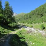 bevor wir das Talende bei Punkt 2007 m.ü.M. erreichen,...