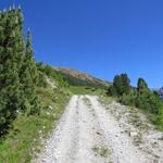 ...wo die Alpstrasse die erste von mehreren Schleifen beschreibt