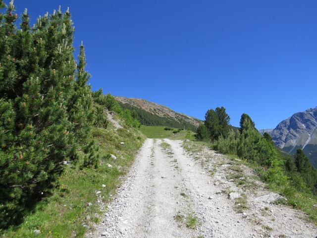 ...wo die Alpstrasse die erste von mehreren Schleifen beschreibt