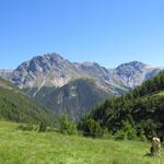 unser Blick schweift hinüber zum Piz Madlain und zum Piz d'Immez – eine Gegend, die wir bereits einmal erwandert haben