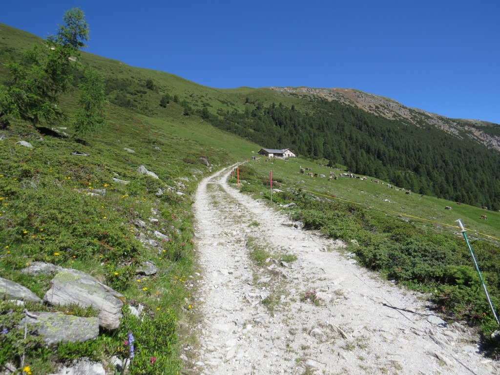 nach der letzten Kehre...