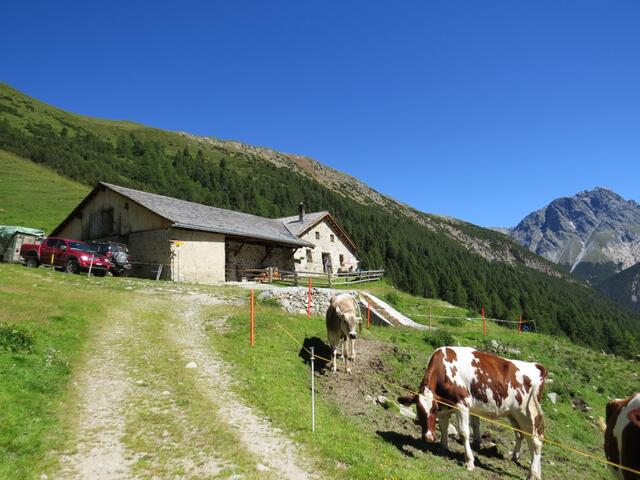 ...erreichen wir die schön gelegene Alp Tavrü auf 2121 m.ü.M.