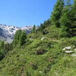 ...auf einem Bergpfad mässig steil,...