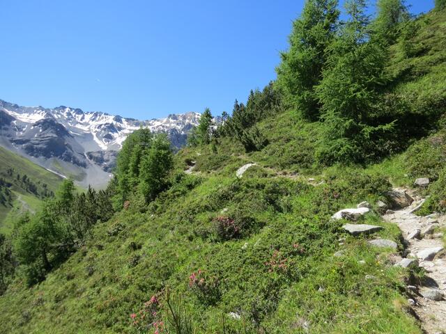 ...auf einem Bergpfad mässig steil,...