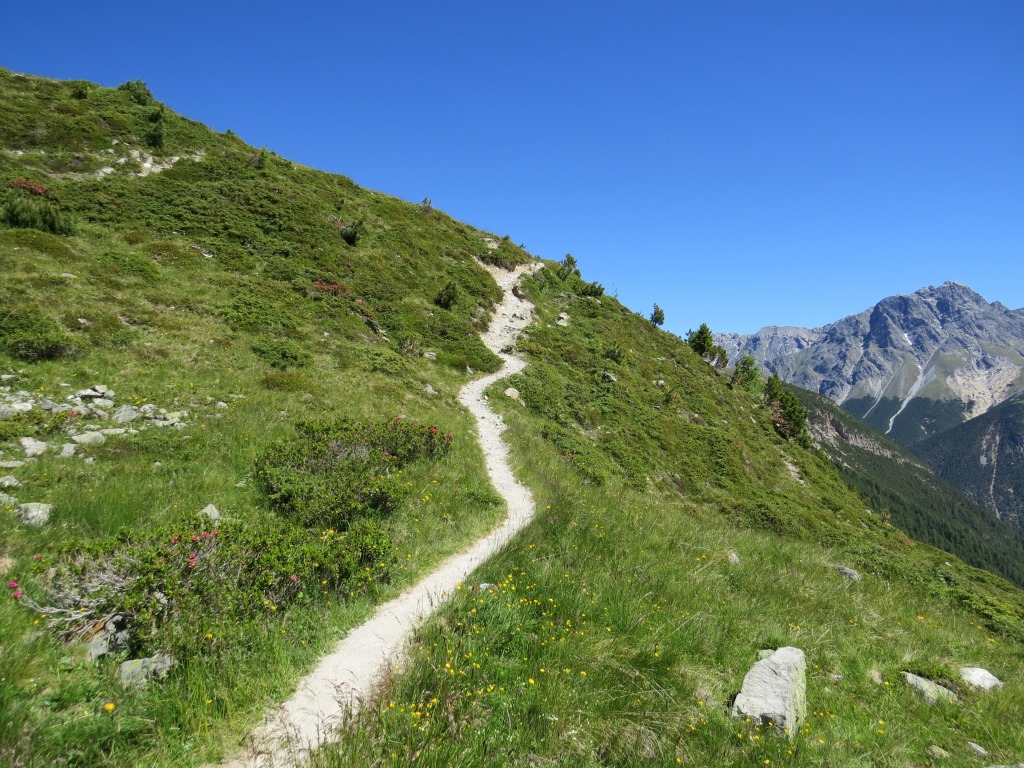 der Wanderweg ist zwar schmal, aber markiert und nicht zu verfehlen