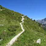 der Wanderweg ist zwar schmal, aber markiert und nicht zu verfehlen