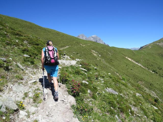 über ihn laufen wir, weit nach links ausholend, dann im steilen Hang zurück querend zu einem Gratrücken