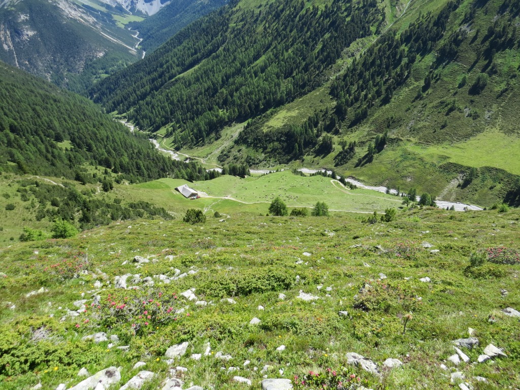 Tiefblick zur Alp Tavrü