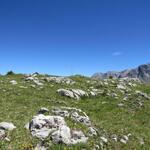 ... erreichen wir problemlos den buckligen Gipfel des Mot Tavrü 2420 m.ü.M.