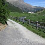 hinter der Holzbrücke führt uns die sanft ansteigende Alpstrasse weiter hinein ins Val da Fain
