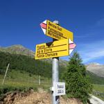 bei Pradatsch 2080 m.ü.M. erreichen wir eine Abzweigung. Rechts abbiegend geht es zur Alp Bernina
