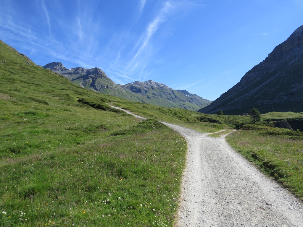 wir bleiben auf dem Hauptweg und wandern weiter taleinwärts in das Val da Fain