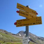 wir folgen von der Alp linkshaltend dem Wegweiser Richtung Fuorcla Chamuera