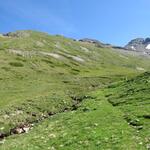 der schmale, markierte und wenig begangene Wiesenpfad...