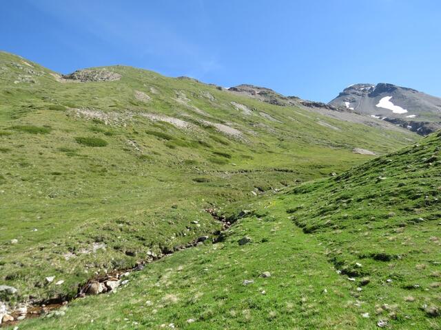 der schmale, markierte und wenig begangene Wiesenpfad...