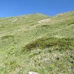 ...führt zunächst mässig steil,...