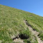 ...wird dann jedoch deutlich steiler und windet sich...