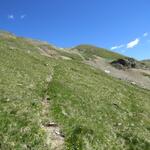 nach einem steilen und schweisstreibenden Anstieg biegt der Pfad...