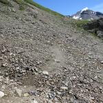 ...wieder taleinwärts und zieht nun wesentlich flacher unter dem...