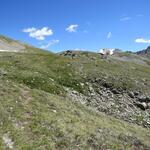 teilweise sind in diesem Bereich nur noch Pfadspuren zu erkennen