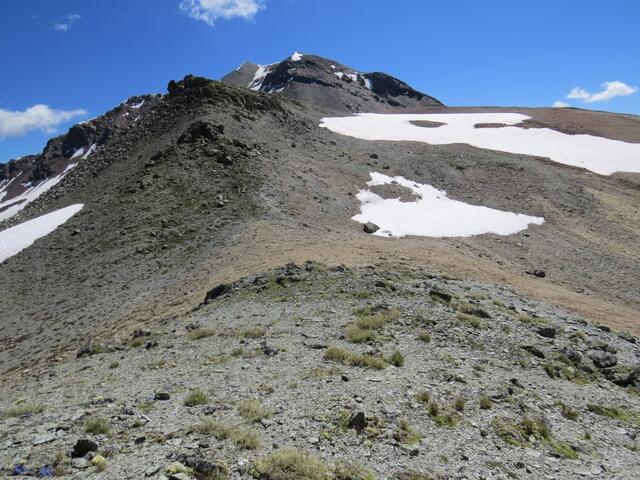 in einigem Auf und Ab wandern wir am Bergrücken entlang. Der Piz la Stretta gibt uns genau die Richtung an