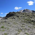 ...hinauf zur Kuppe auf 2853 m.ü.M., wir haben den höchsten Punkt unserer Wanderung erreicht