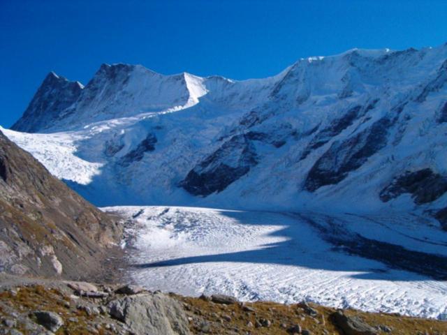 Oberer Grindelwaldgletscher mit Finsteraarhorn