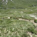 über den Serpentinenweg, verlieren wir rasch an Höhe