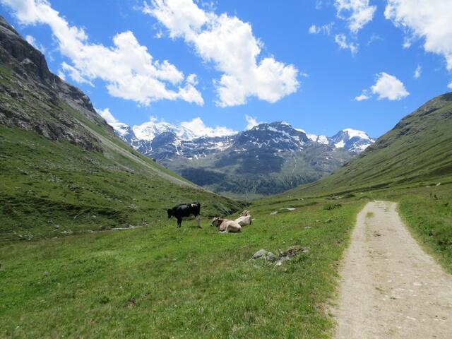 Blick zum Munte Pers den wir auch schon bestiegen haben