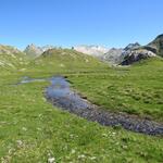 IMG_7152.JPG