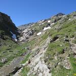 IMG_7154.JPG