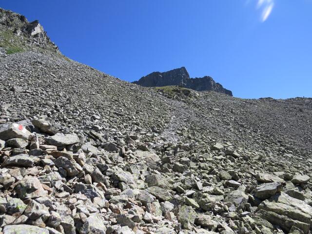IMG_7181.JPG