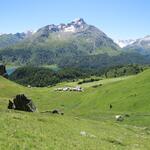 IMG_7219.JPG