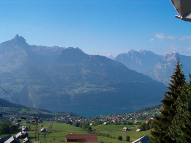 Amden, Walensee mit Mürtschenstock