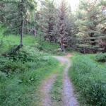 IMG_7579.JPG