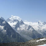 IMG_7681.jpg