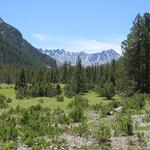 IMG_7304.JPG