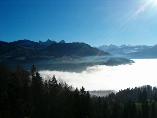 Nebelmeer. Im Hintergrund die Urner/Schwyzer Berge