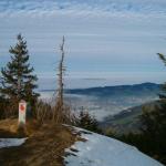 Blick Richtung Zugerberg