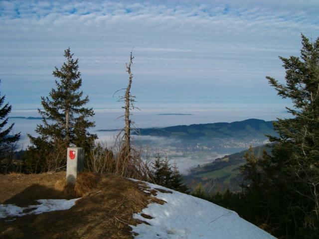 Blick Richtung Zugerberg